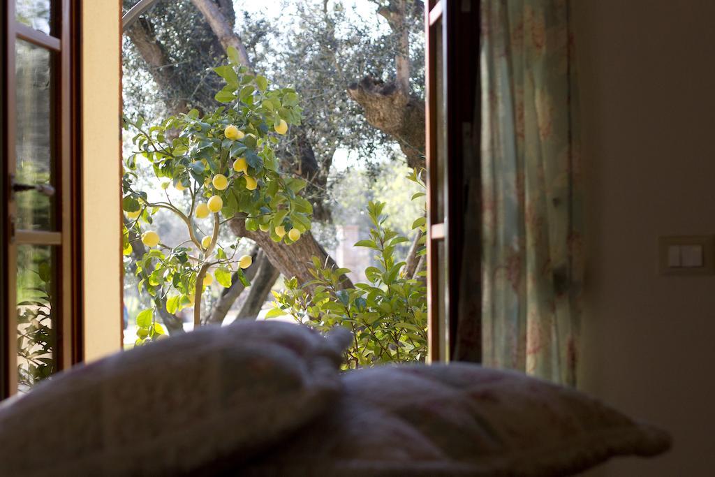 Il Bottaccio Casa Di Campagna Venturina Terme Room photo